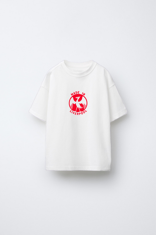 Virgil van Dijk – The Anfield Enforcer